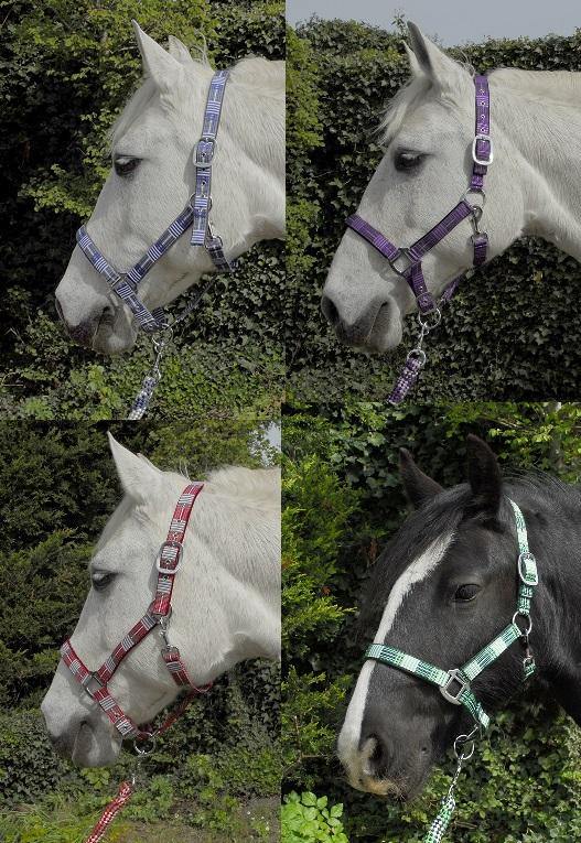 Rhinegold Carnival Licol et Longe - SHOPHORSE